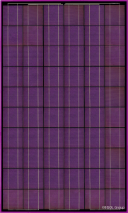 purple, solar, panel, Prince, 10:10, new power generation, Bisol