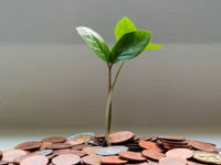 is solar worth it, payback, returns on investment