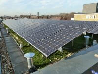 Green Roof 200x150